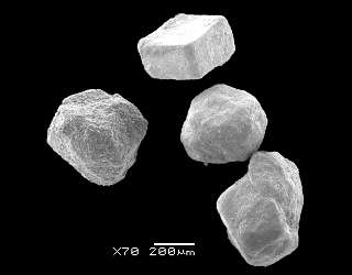 Electron micrograph of powdered dialysate (Agent A)