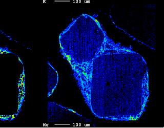Photograph of elemental distribution (Ca) in the cross section of a particle of powdered dialysate (Agent A)